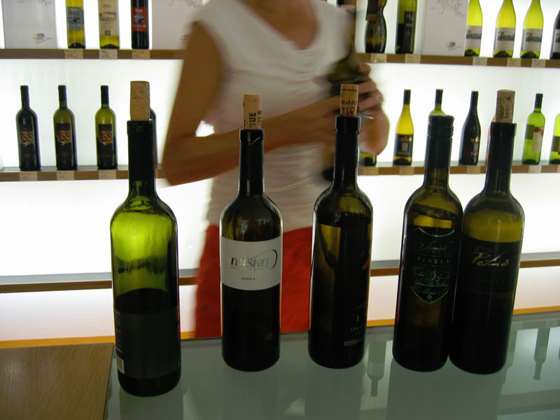 Wine Tasting in the Vipava Valley